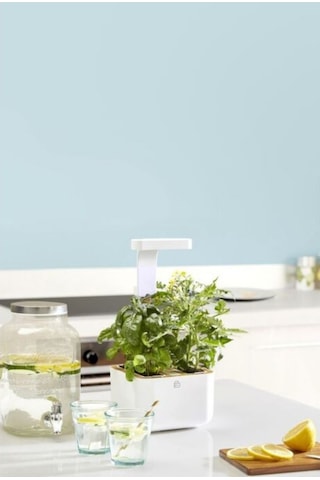 Veritable Botaneo Indoor Akıllı Iç Mekân Bitki Yetiştirme Sistemi, Beyaz Hobi Bahçesi