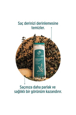 Selesta Life Okaliptüs Ve Çay Ağacı Bitki Özlü Kepek Karşıtı Şampuan Tüm Saç Tipleri İçin Şampuan 400 Ml
