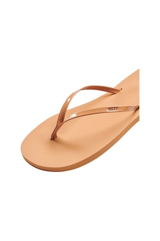 Reef Blıss Nıghts Terlik Ref.cj3628-ref.101 Karamel