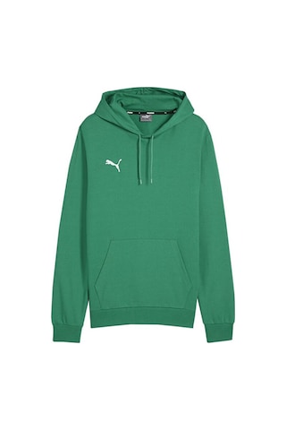 Puma Teamgoal Casuals Hoody Erkek Futbol Antrenman Sweatshirts 65861805 Yeşil