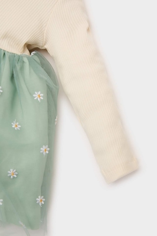 DeFacto Kız Bebek Çiçekli Uzun Kollu Tül Elbise D9327A525SPGN1114 Yeşil