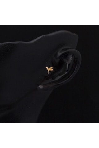 Bilezikci  Minik Kuş 14 Ayar Altın Tragus Küpe Kphss14k22478 Sarı