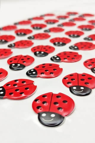 Sticker Kabartmalı A4 Boyutunda Stiker Defter, Planlayıcı Etiket Lim044 - Uğur Böceği