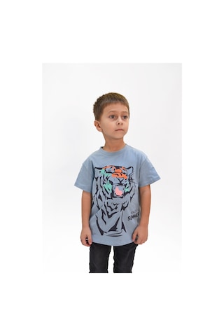 Luess Erkek Çocuk Kaplan Baskılı Tshirt-mavi Mavi