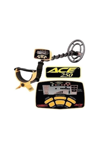 Garrett Ace 250