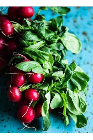 Mix Yukarıbakan Cin Biber 250 Adet Fındık Turp 100 Tohum
