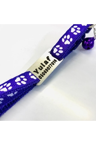 Bez Kedi Tasması, Kedi Künyesi, Renkli Tasma