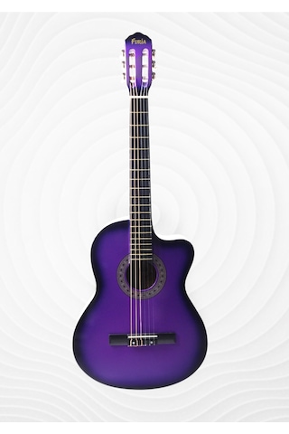 Cg-3901prs Klasik Gitar 4/4 Sap Ayarlı Kesik Kasa Full Set Mor