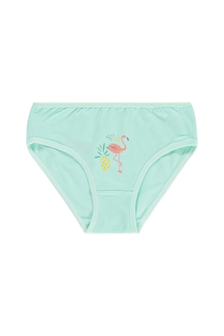 Civil Girls Flamingo 2-12 Yaş Kız Çocuk 2'li Külot Çok Renkli