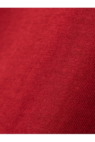 Gsstore Galatasaray Ucl Erkek T-shirt E252217 Bordo