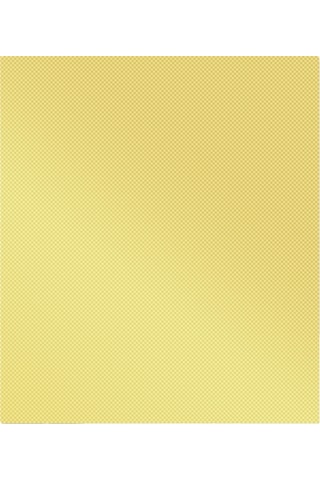 Hangfox Altın Renkli 1 Adet Barbekü Matı - 260 C Isı Dayanıklı, Yapışmaz, Teflonlu, Tekrarlı Kullanımlı Mangal Yemek Matı Çok Renkli