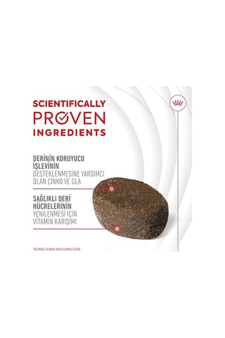Skin&coat Chews Yetişkin Köpekler İçin Deri Ve Tüy Sağlığını Destekleyen Tamamlayıcı Ödül Maması 240g