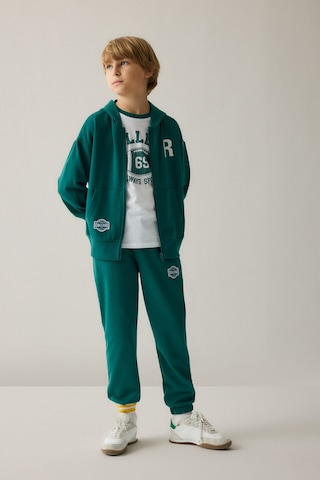 Defacto Pamuklu Regular Fıt Uzun Kollu Baskılı Kapüşonlu Cepli Fermuarlı Sweatshirt Hırka Erkek Çocuk H9848a826augn1116 Yeşil-gn1116