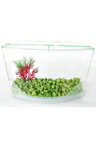 Bölmeli Izgaralı Betta Beta Kabı Tankı Akvaryum 1800 Ml - 19x8x13 Cm Yeşil
