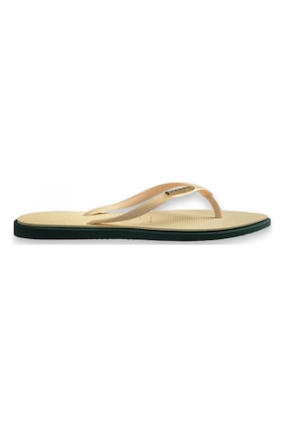 Havaianas 4149584 Sslim Point Parmak Arası Bej Kadın Terlik Siyah
