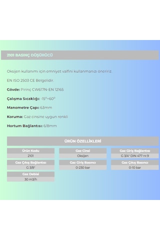 Oksijen Regülatörü 2101