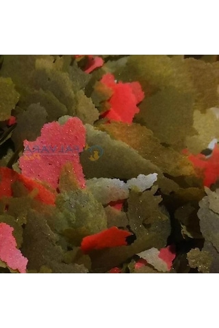 250 Gr Tropikal Cichlid Spirulina Pul Balık Yemi