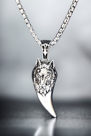 Ak Store Silver Gümüş Kaplama Krom-Çelik Erkek Kolye Madalyon Kurt Dişi Üzerine Bozkurt İşleme