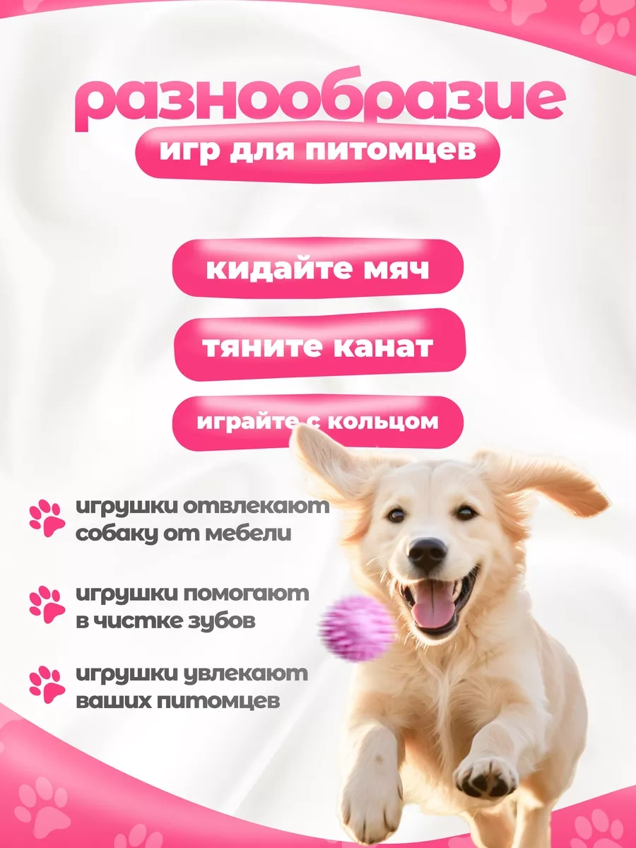 Toysfordogs 5 Parçalı Lastik Köpek Oyuncakları Seti 240710074