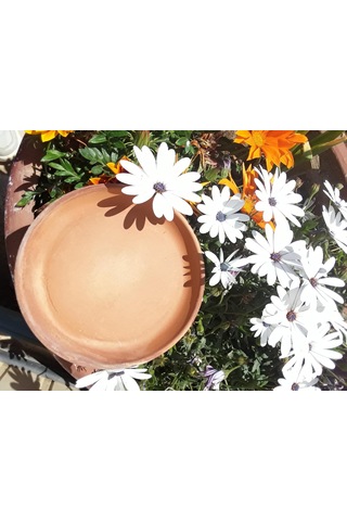 Topraktan 6'lı Fincan,saksı Altlığı Çok Amaçlı Mini Tabak 13 1,5 Cm
