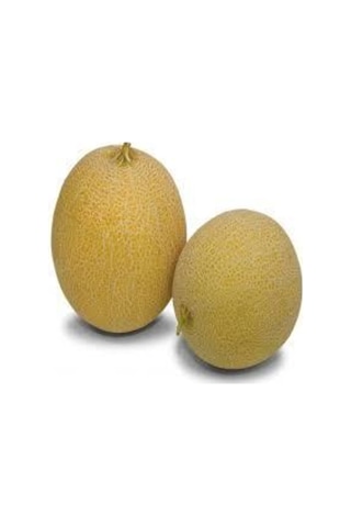 40 Adet Tohum Ananas Kavunu Kokulu Kavun Tohumu Bal Kavun Tohumu Sürpriz Hediye Sebze Tohumu