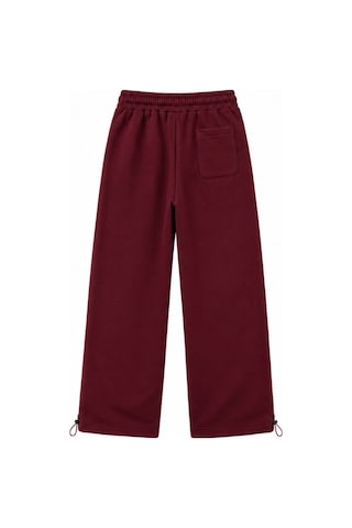 Zaee Tiger Fang Nakışlı Ayarlanabilir Paça Baggy Eşofman Altı Bordo