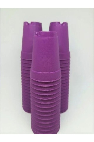 Katı Plastik Sukulent Saksısı 5 Adet Açık Mor 5.5 Cm