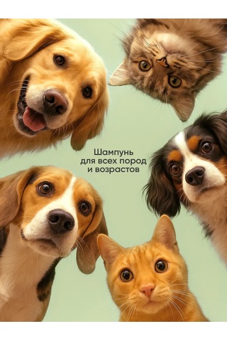 Wellroom Köpekler Ve Kediler İçin Şampuan 500 Ml 474599474