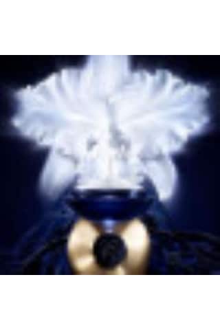 Guerlain Orchidee Imperiale 5G Day Cream 50 ML