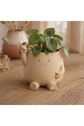 Alvera Smiley Face Planter 3d Baskı Gülümseyen Karakterli Saksı-bej Alvera Smiley Face Planter 3d Baskı Gülümseyen Karakterli Saksı-bej