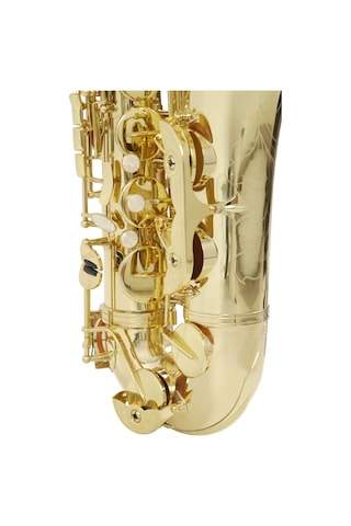 Roy Benson Ts-302 Tenor Saksafon