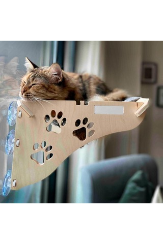Cama Yapışan Kedi Yatağı