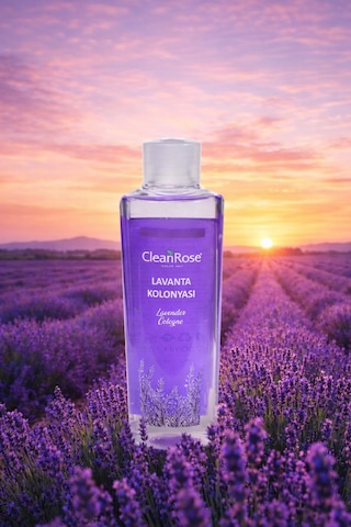 Cleanrose Lavanta Kolonyası - 250 Ml Modern Tasarım Şişe