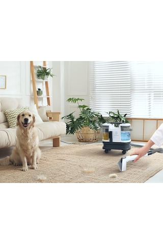 Greenote Halı/koltuk Yıkama Makinesi Ve Spot Temizleyici Sofa, Halı Ve Araç İçin Uygun, Güçlü Islak/kuru Vakum, 1.8 L Su Tankı, Tekerlekli Tasarım