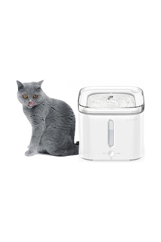 Petkit Eversweet Solo 2 Su Pınarı