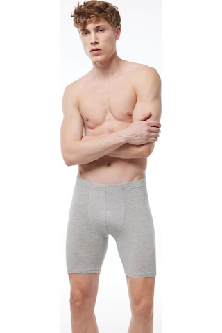 Malabadi 018 Erkek Uzun Paçalı Modal Boxer-Gri