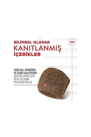 Royal Canin Digestion Chews Sindirim Sağlığını Destekleyen Köpek Ödül Maması 160gr
