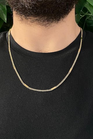 14 Ayar Altın S Plakalı Gurmet Zincir Erkek Kolye Sarı Altın
