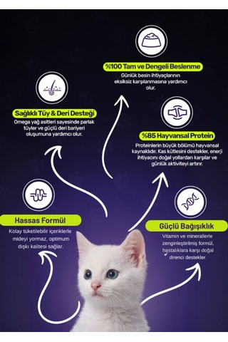 Twinkle Yavru Kediler İçin Balıklı Tam Ve Dengeli Kedi Maması 4 Kg