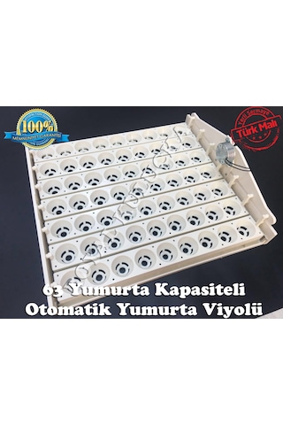63'lük Otomatik Kuluçka Gelişim Viyolü 1/2.5 Rpm 4 Watt  220v
