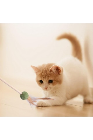 Pribor Tüylü Catnipli Kedi Oyun Oltası, Kedi Naneli