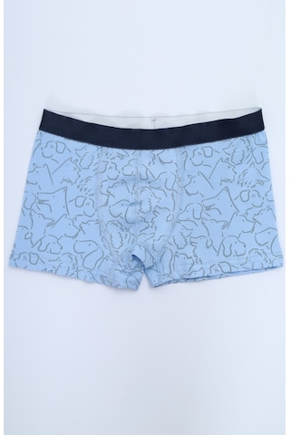 Toontoy Erkek Çocuk Çizgili Desenli Baskılı 4lü Paket Boxer Çok Renkli
