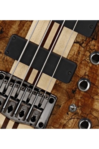 Cort A4 Custom Spnatw Bas Gitar   Natürel Parlak Çantalı Many