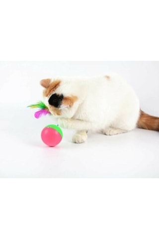 Kedi Oyuncağı Devrilmez Tüylü Fareli Denge Topu