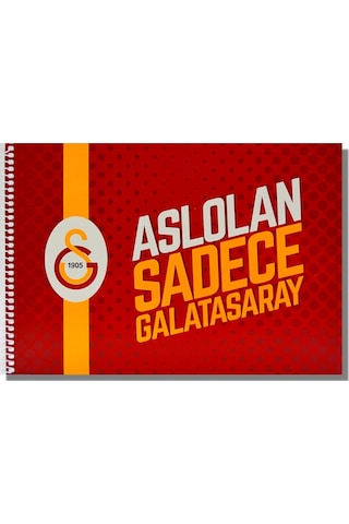 Galatasaray 17x24 15 Yaprak Karton Kapak Spiralli Resim Defteri 463637