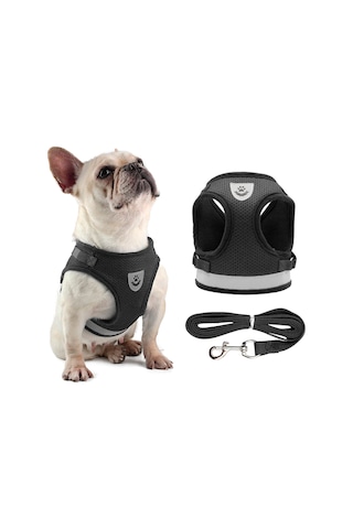 Geeroyoo Küçük Köpekler İçin Havalandırmalı Gece Yürüyüş Yeleği Ve Tasma Seti - Siyah S Bl-844 Siyah