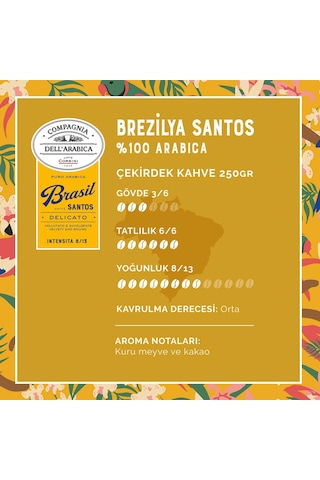 Caffe Corsini Brezilya Santos %100 Arabica Çekirdek Kahve 250 G