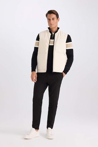 DeFacto Regular Fit Kolej Yaka Fermuarlı Çift Cepli Mevsimlik Hafif İnce Bomber Şişme Yelek D6287AX25SPER83