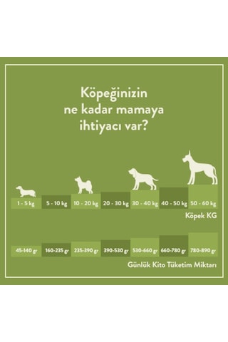 Kito Kuzu Etli Yetişkin Köpek Maması 15 KG + Kito Kuzu Etli Yetişkin Köpek Maması 2500 G
