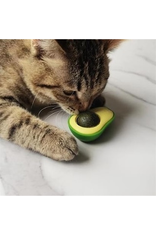 Sanalportavm Avokado Model Yapışkanlı Kedi Oyuncağı Yenilebilir Kedi Nanesi Otu